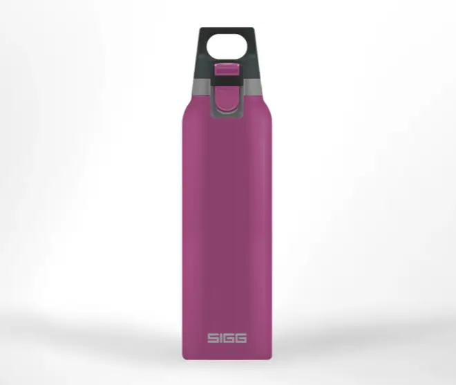 SIGG Hot and Cold flask
