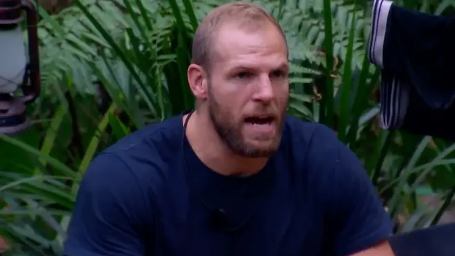 James Haskell was branded a "bully&squot; by some viewers