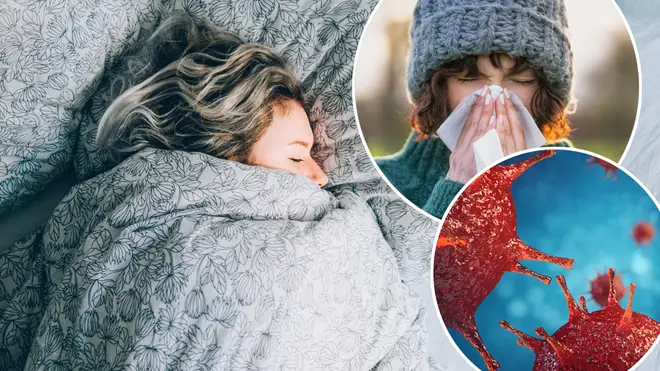 Here's how you can avoid the common cold this season