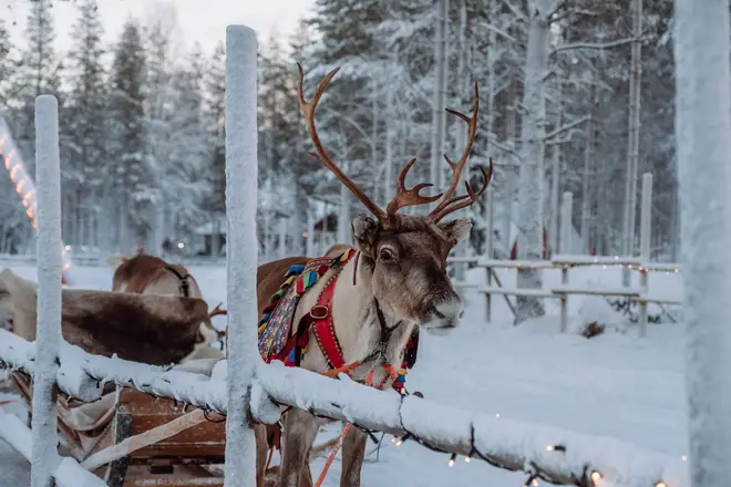 Rudolph can visit your children anywhere this Christmas