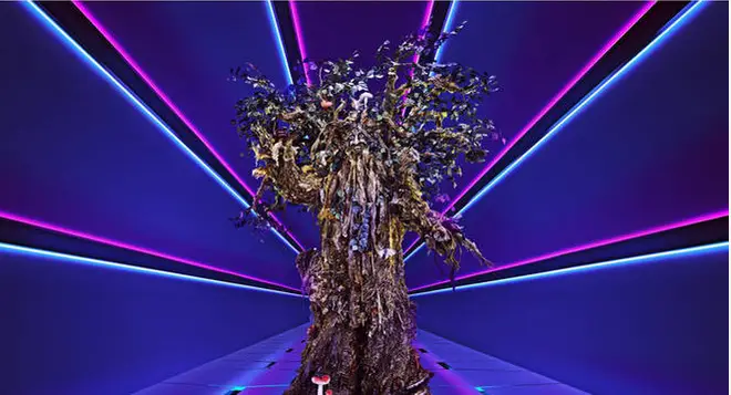 The Tree performed Madness' It Must Be Love at the weekend