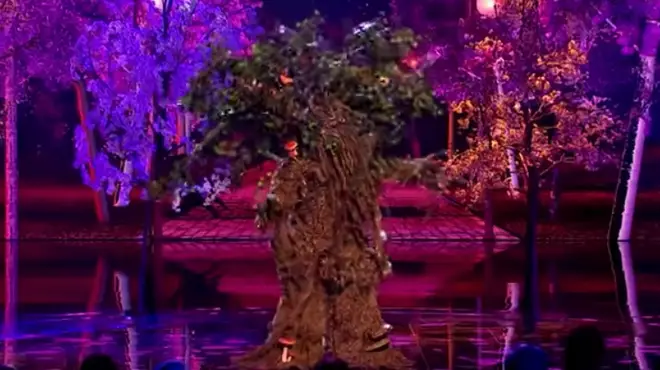 The tree has baffled ITV viewers