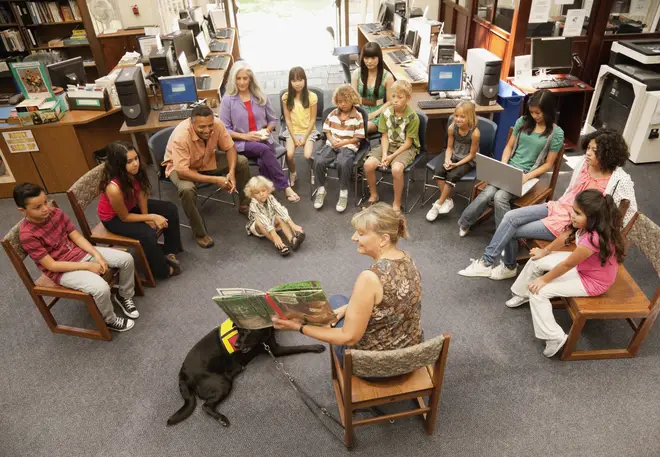 Parents disagree on whether or not schools should have dogs