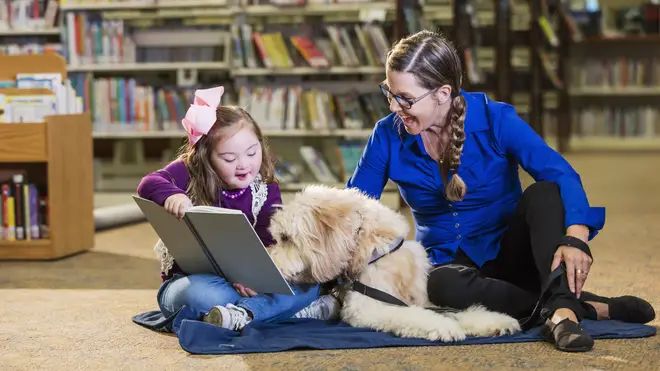 Support dogs are often used in schools