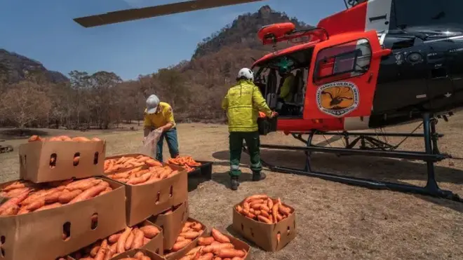 Veggies have been dropped over the Australian Bushfires