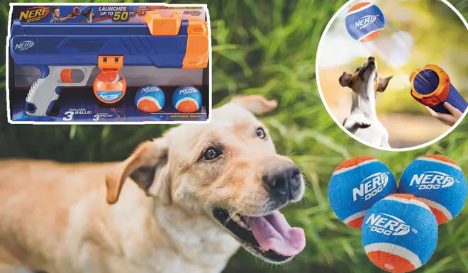 You can now make your dogs walks a lot more exciting