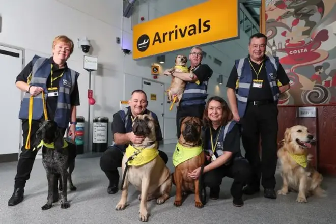 The dogs help passengers with hidden disabilities and those with a fear of flying.