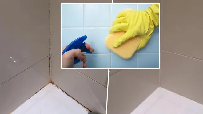Here's how to get rid of mould in minutes