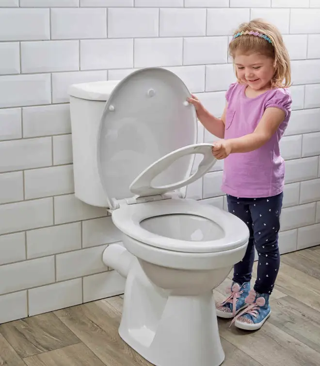 The Family Toilet Seat, online and in stores for only £14.99, is a simple device which allows you to change the seat from adult size to child size