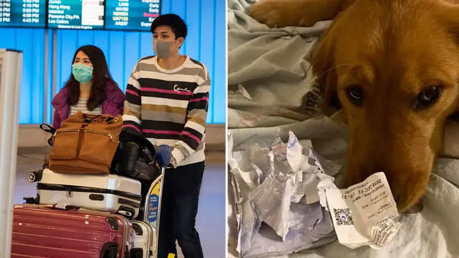 The woman claimed her dog prevented her from flying to Wuhan days before the outbrake