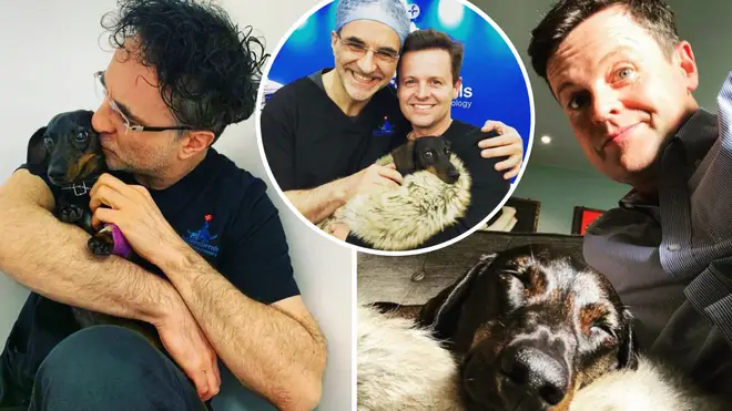 Dec has thanked The Supervet for treating his beloved sausage dog, Rocky.