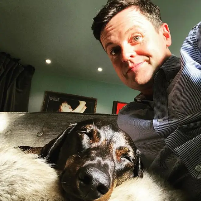 Dec bought Rocky in 2013 and the two have been inseparable ever since.