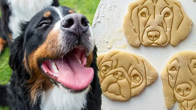 You can now get biscuit cutters to look like your dog
