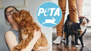 PETA has called for people to stop calling animals 'pets'