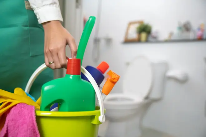 A mum claimed she uses washing up liquid to clean her toilet (stock image)