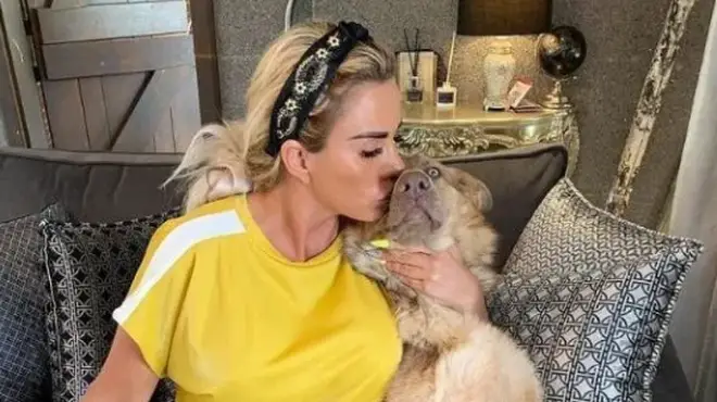 Katie Price with her dog Sparkle, who was tragically killed by a car near her home