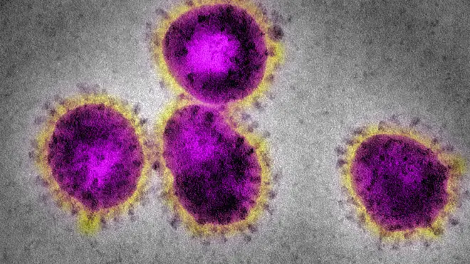 The total of people diagnosed with the virus in the UK is now on 15