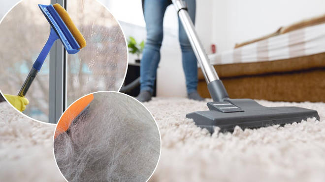 Get rid of the hair on your carpet using this squeegee hack