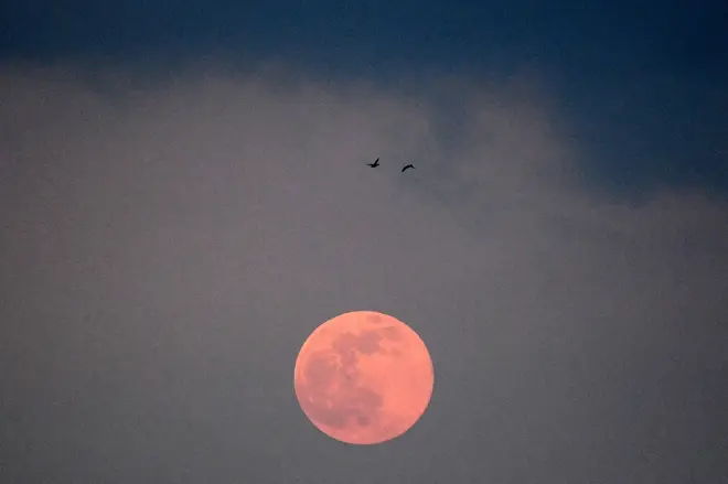 The worm moon appeared red over Moscow
