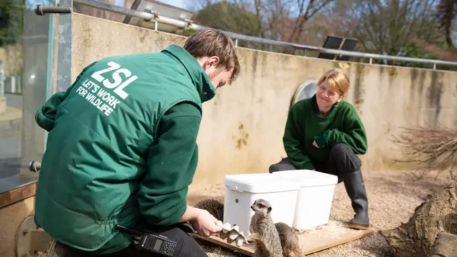 Some workers have moved into the accommodation at the zoo to care for the animals