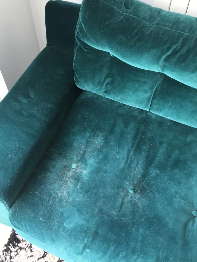 There was one part of the sofa the cats loved to sit on