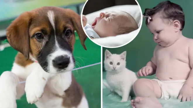 Pet owners are giving their four-legged fur-babies the same names we lavish on our children.