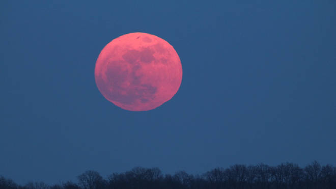 The moon will not appear pink, even though it warrants the name