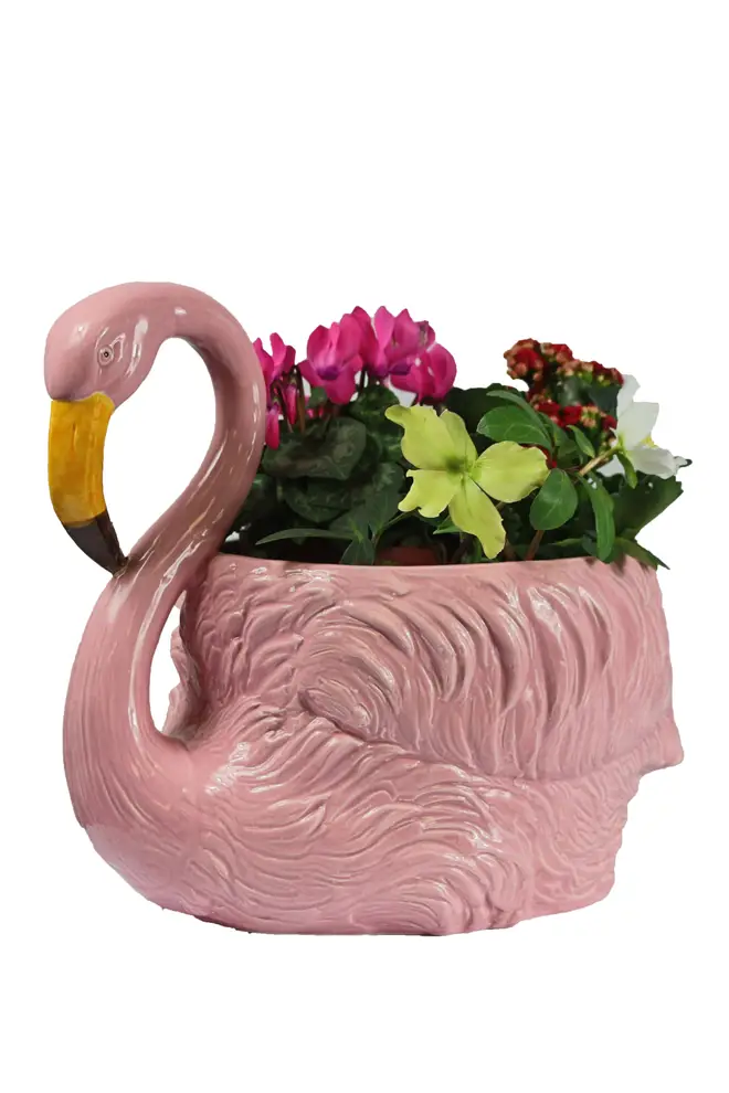 This kitsch planter will bring a smile to your face