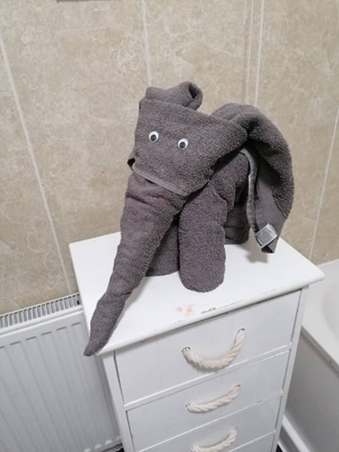 Lauren Worthington created an elephant with her towel