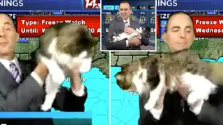 Jeff Lyons was interrupted by his cat during a weather update