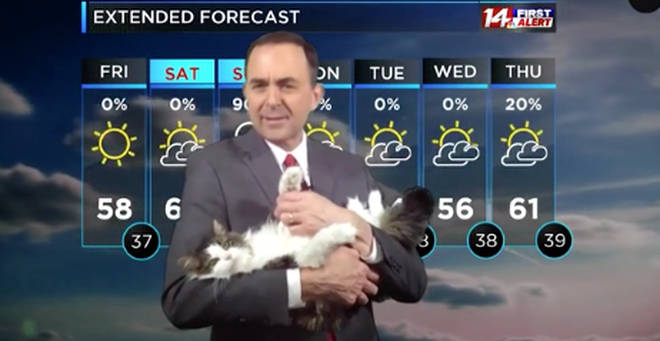 Jeff Lyons has been joined by his cat presenting the weather