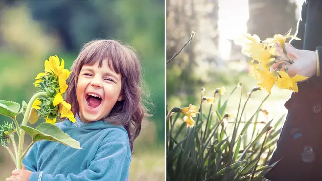Parents could face a hefty fine if their kids pick flowers from certain places (stock images)