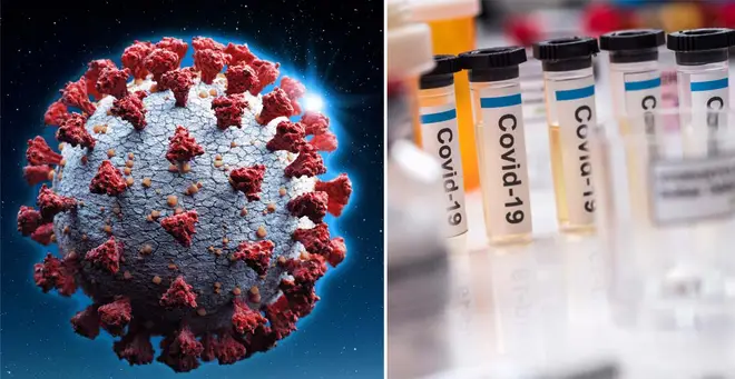 The antibody test is said to be 100 per cent accurate (stock images)