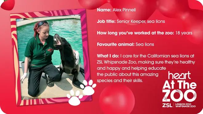 Meet Senior Sea Lion Keeper Alex Pinnell