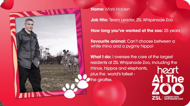 Mark Holden is a team leader at ZSL Whipsnade Zoo