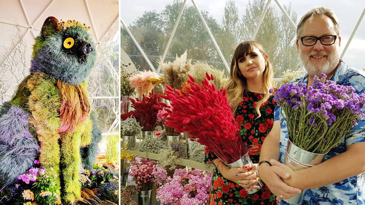 What Is New Netflix Flower Show The Big Flower Fight And Where Was It Filmed Heart