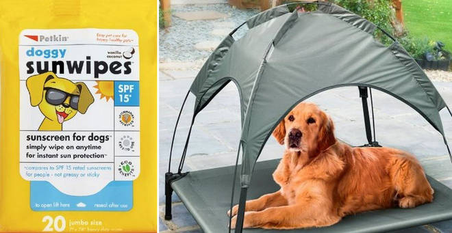 B&amp;M selling sun cream and loungers for dogs - Heart