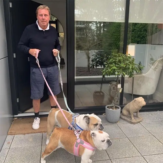 Harry Redknapp taking his dogs out for a walk