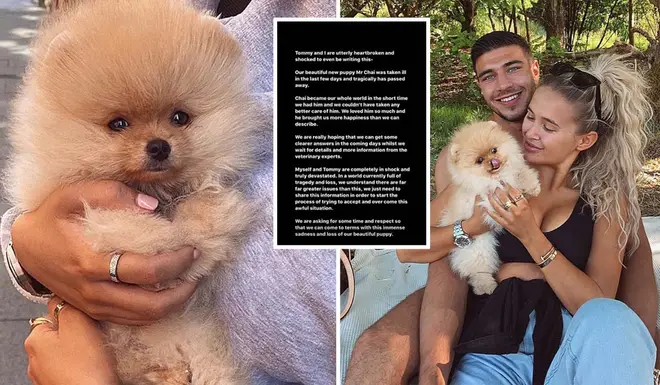 Molly-Mae and Tommy Fury's puppy has passed away