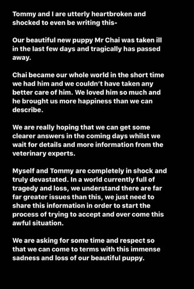 Molly-Mae and Tommy Fury released a statement about the death of their dog