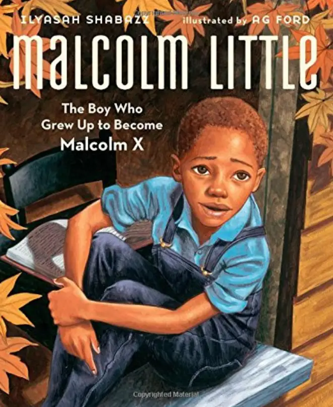 Malcolm Little: The Boy Who Grew Up to Become Malcom X, by Ilyasah Shabazz, illustrated by Ag Ford