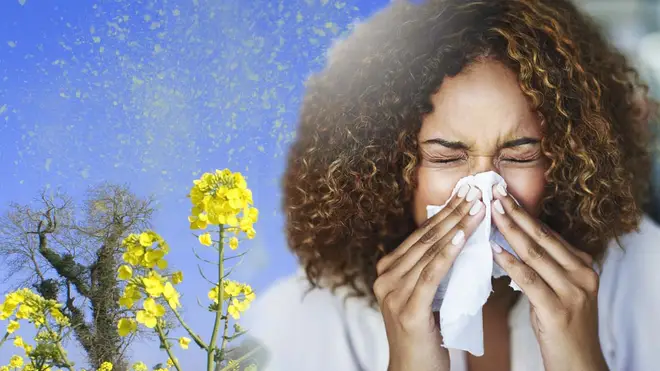 Hay fever: What are the symptoms and how can you treat it?