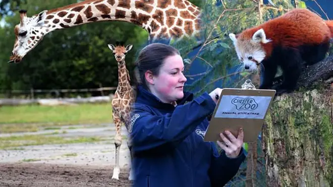 Chester Zoo campaign raises over £1.8million to save zoo amid coronavirus pandemic