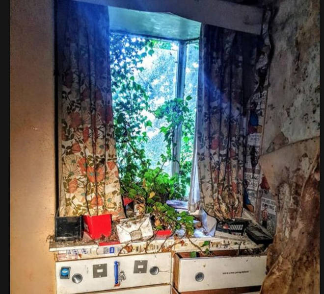The kitchen of the abandoned house