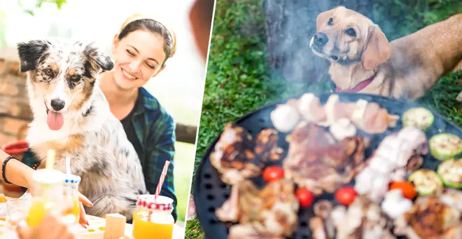 Dogs and cats can't eat a lot of BBQ foods