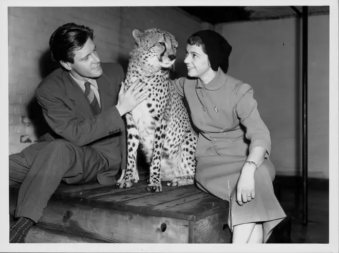 Gerald Durrell and his wife Lee McGeorge at London Zoo