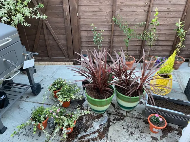 Fia chose different plants and brightly coloured pots to make her garden more inviting