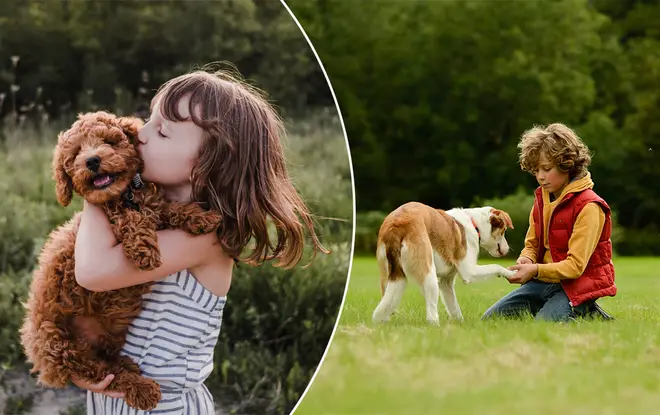 Your kid begging for a pup might not be such a bad thing after all!