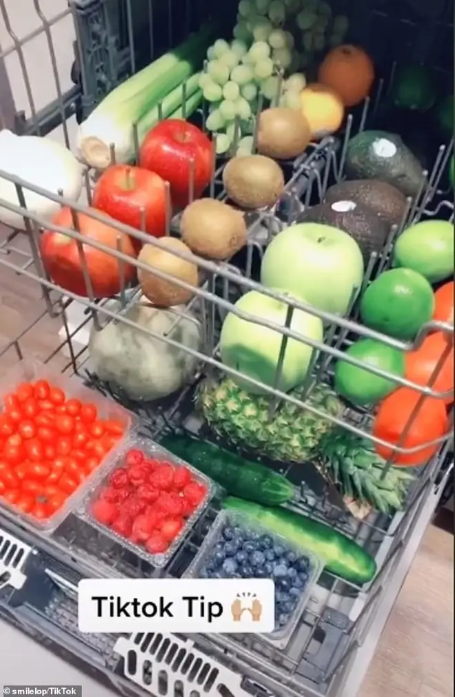 The user lined up all of her veg in the dishwasher