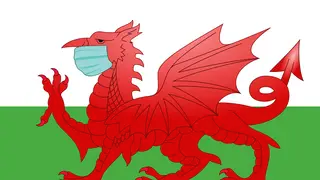 Welsh Dragon wearing face mask